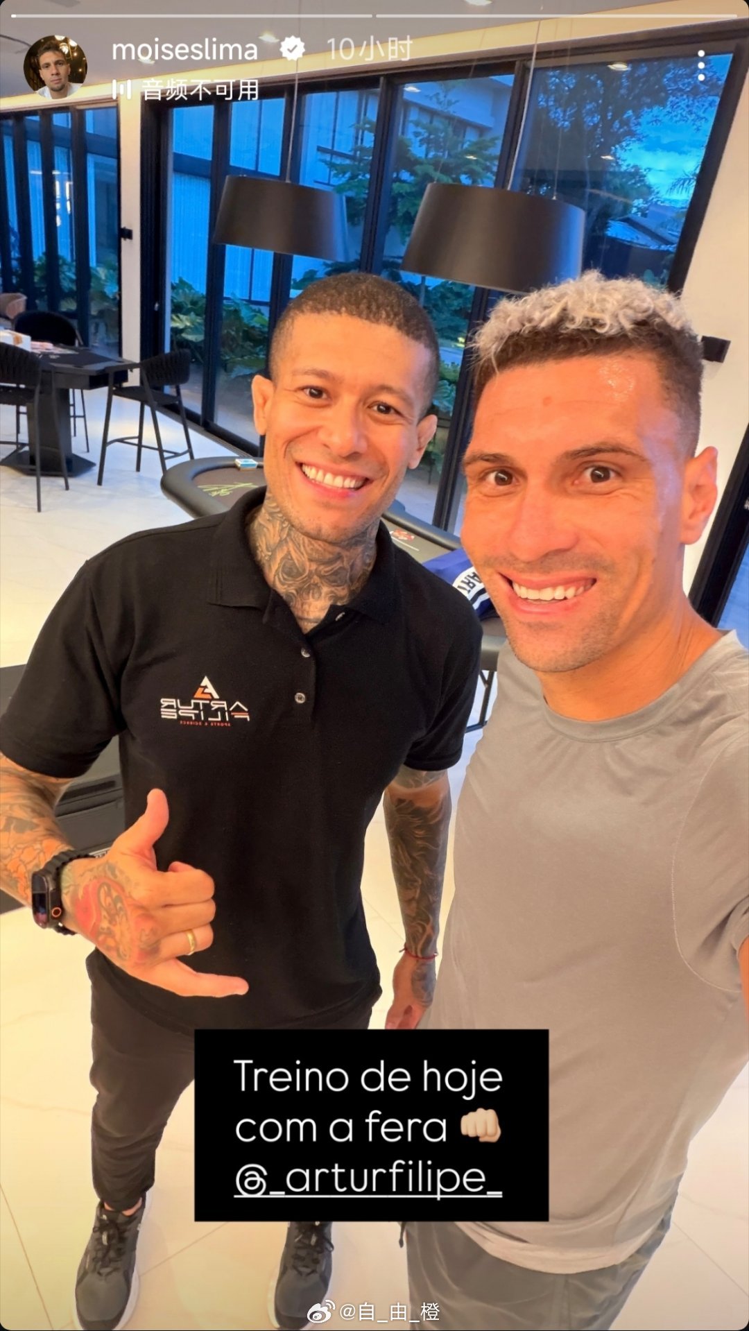 莫伊塞斯动态自由橙山东泰山