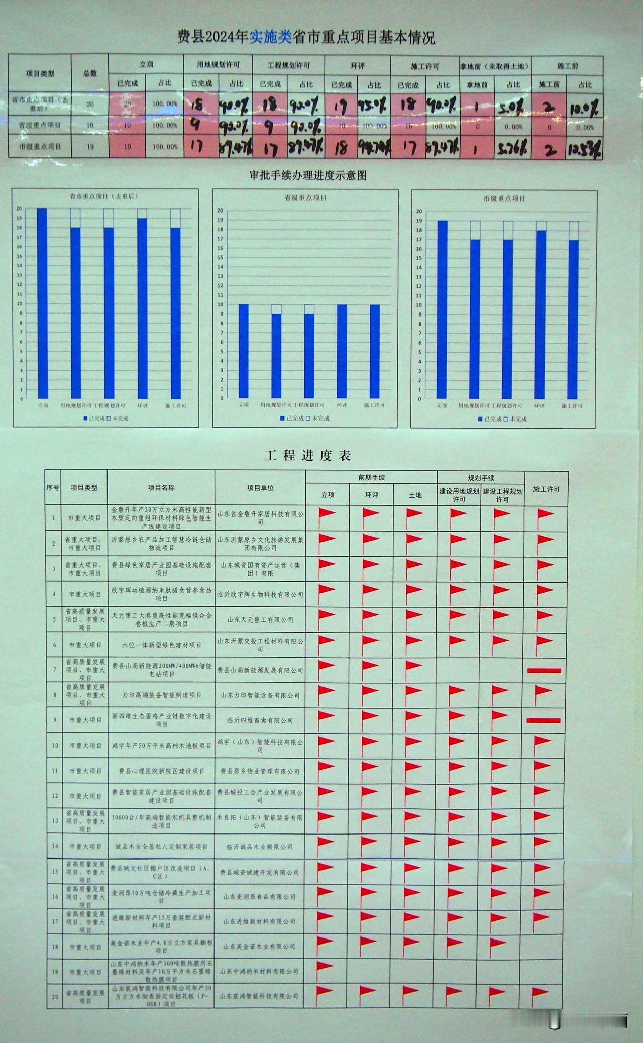 费县2024年实施类省市重点醒目基本情况