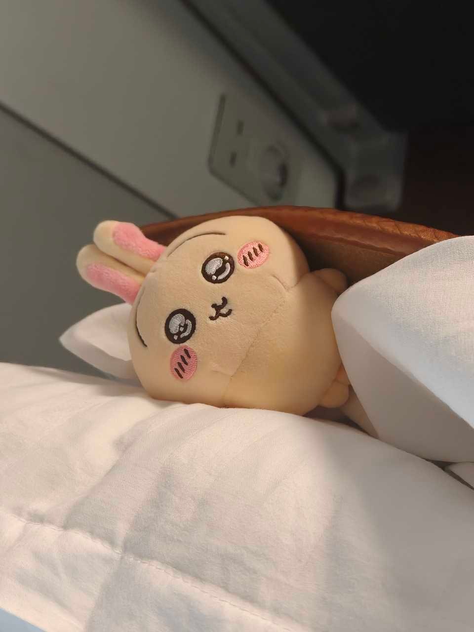 抬头被萌化 