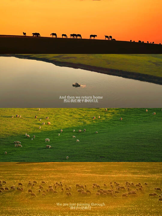 生命就该浪费在这样的地方啊😭