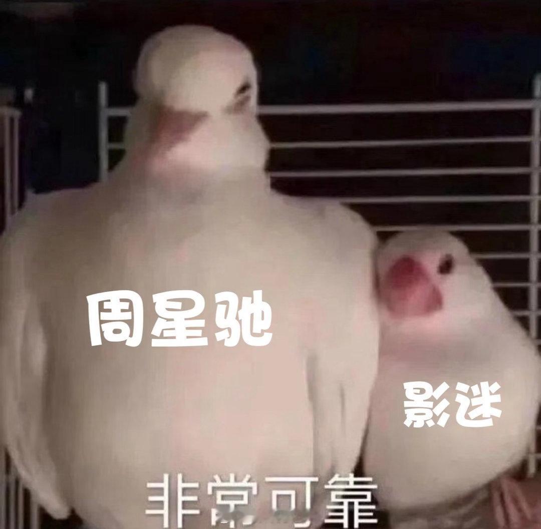 周星驰说有观众支持才有功夫女足时隔25年又听到周星驰这声多谢被星爷的格局狠狠折服