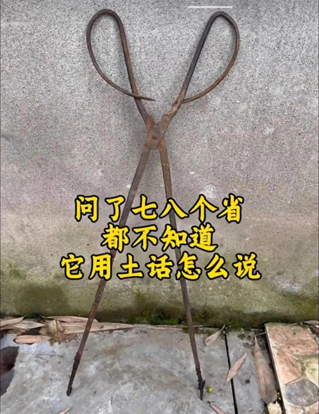 这玩意估计现在很少有人能知道它的土话叫啥，你知道吗？