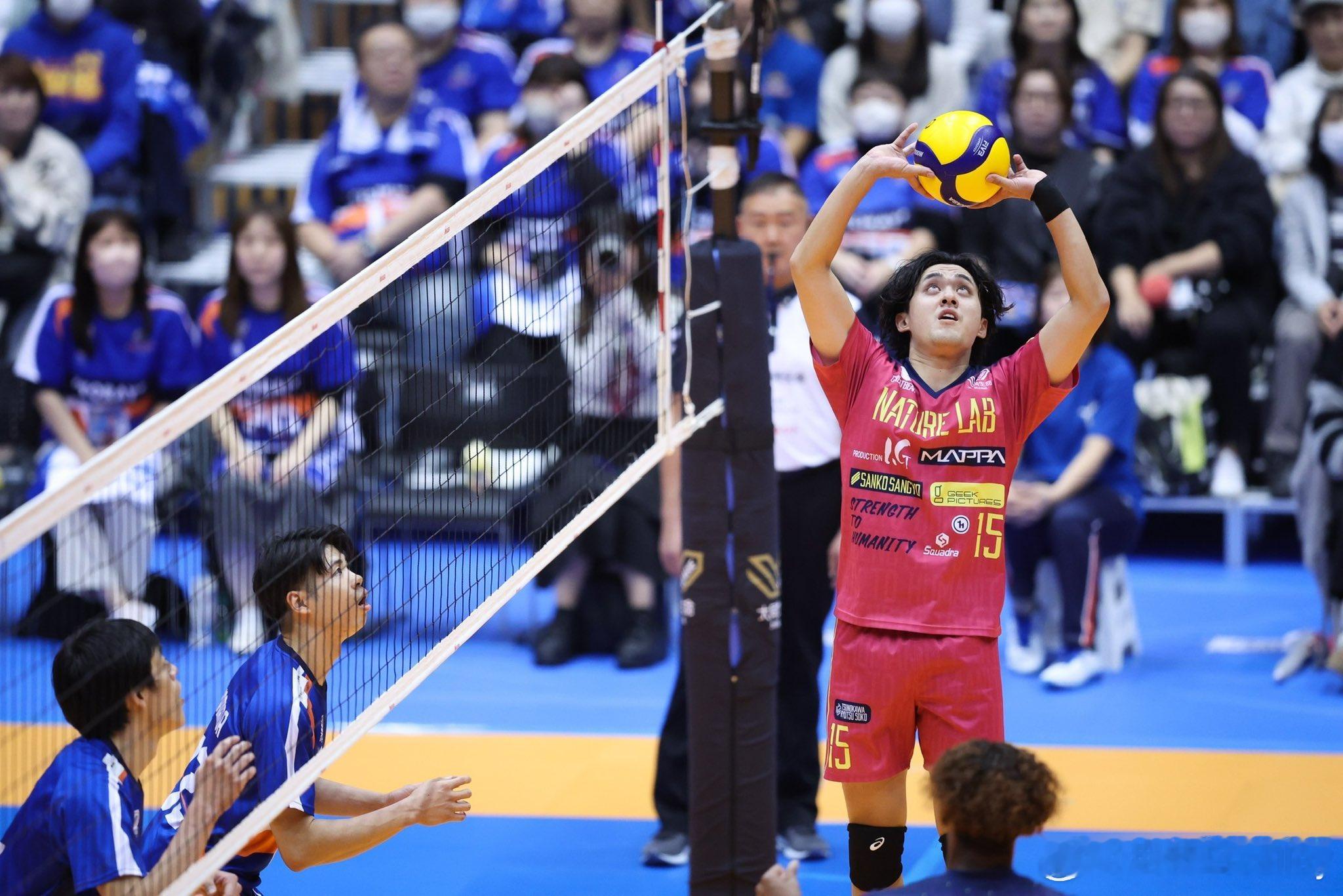 日本男排二传今桥祐希是东京大熊俱乐部以租借形式输出，加盟波超联赛ChKS 海乌姆