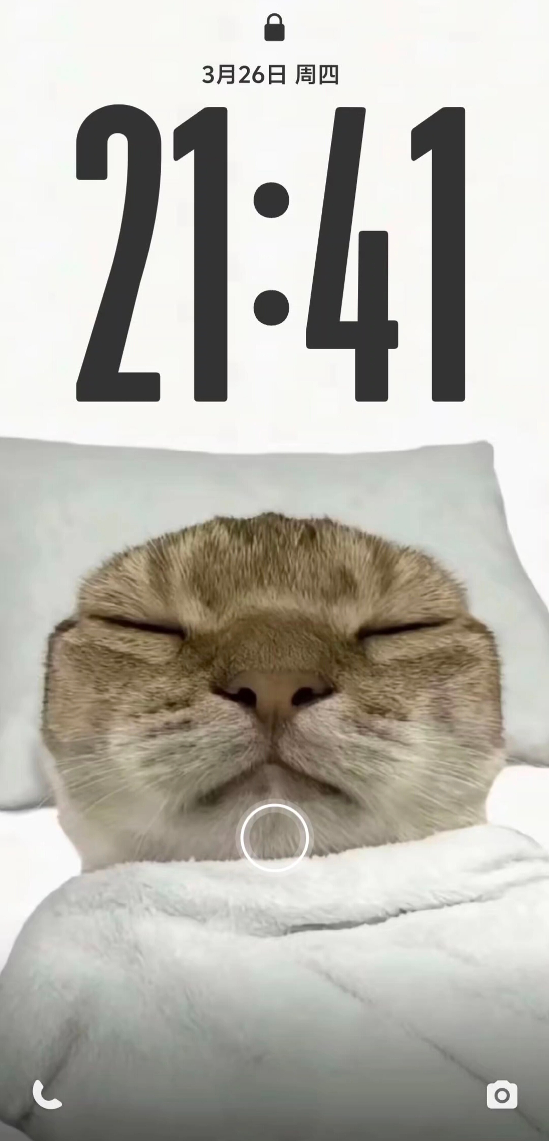 光栅壁纸 | 抽象版虽然丑丑的，但这个光栅壁纸真的好好笑