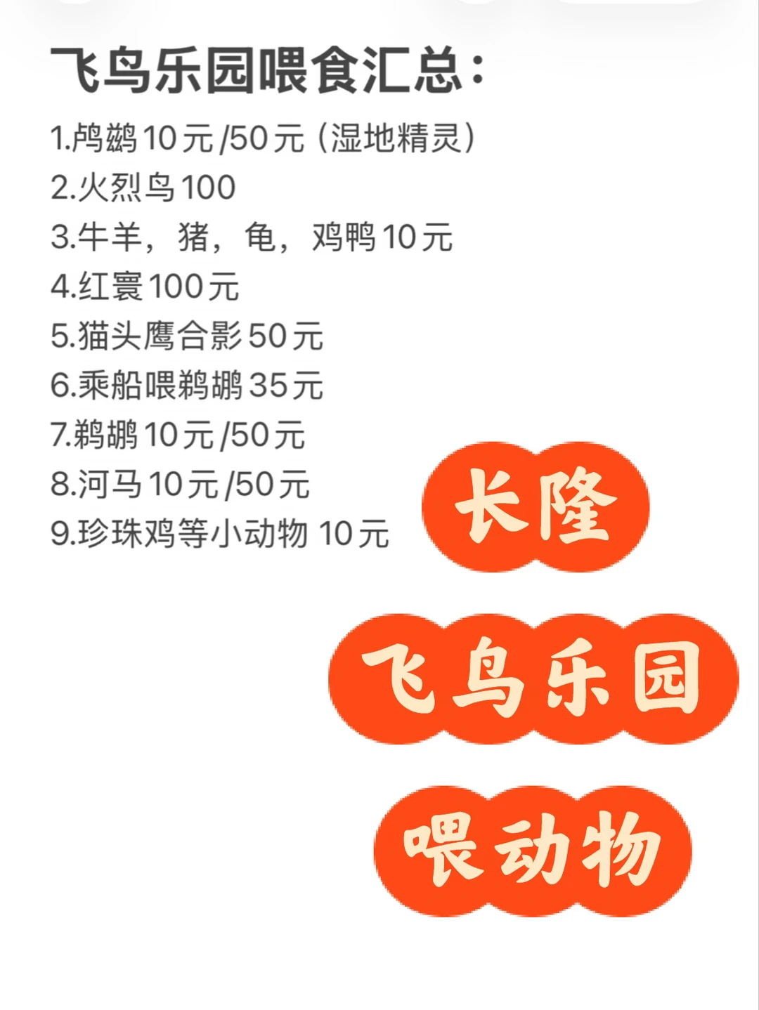 长隆飞鸟乐园喂动物