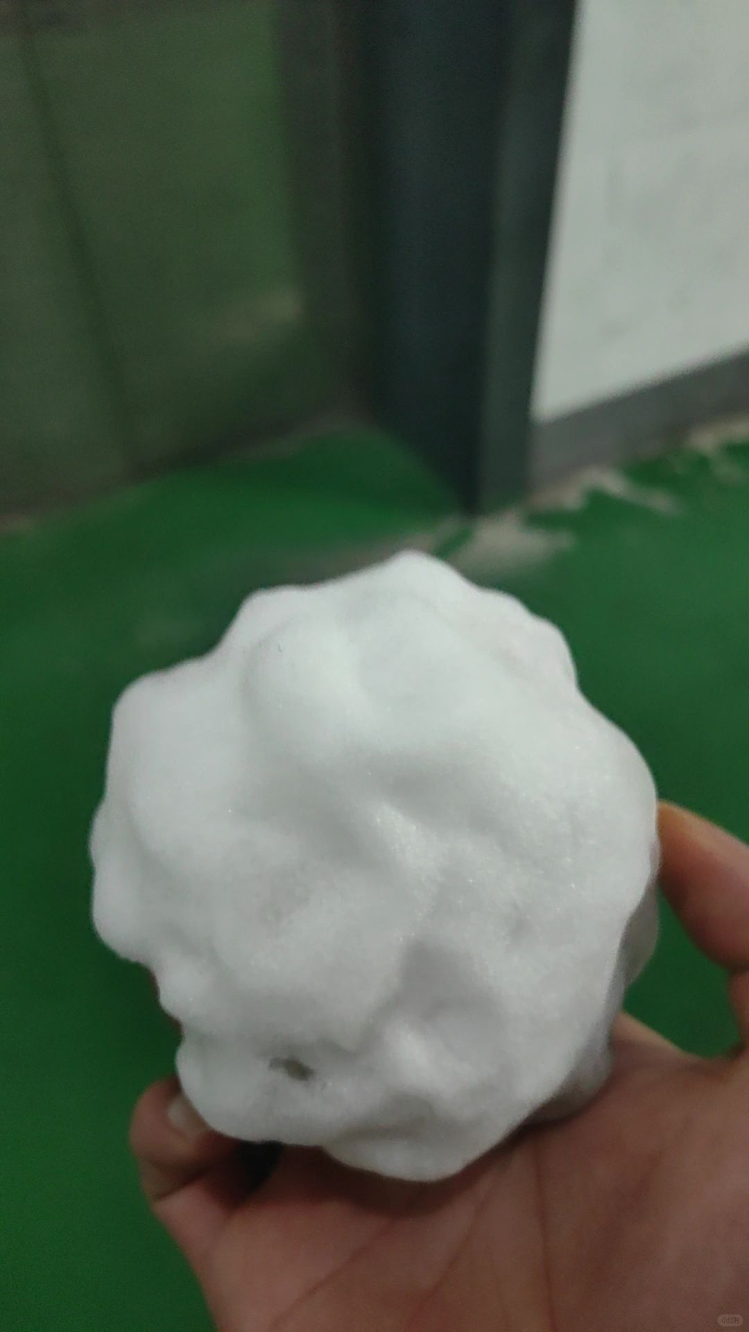 天呐！这是什么宝贝？谁知道？