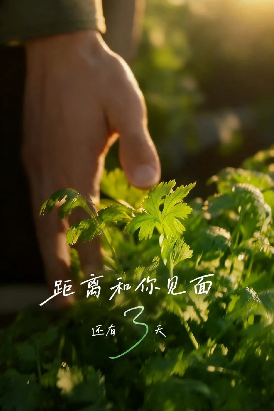 白象的香菜面，你就吃去吧，一吃一个不吱声！[干饭人]王一博 白象 ​​​