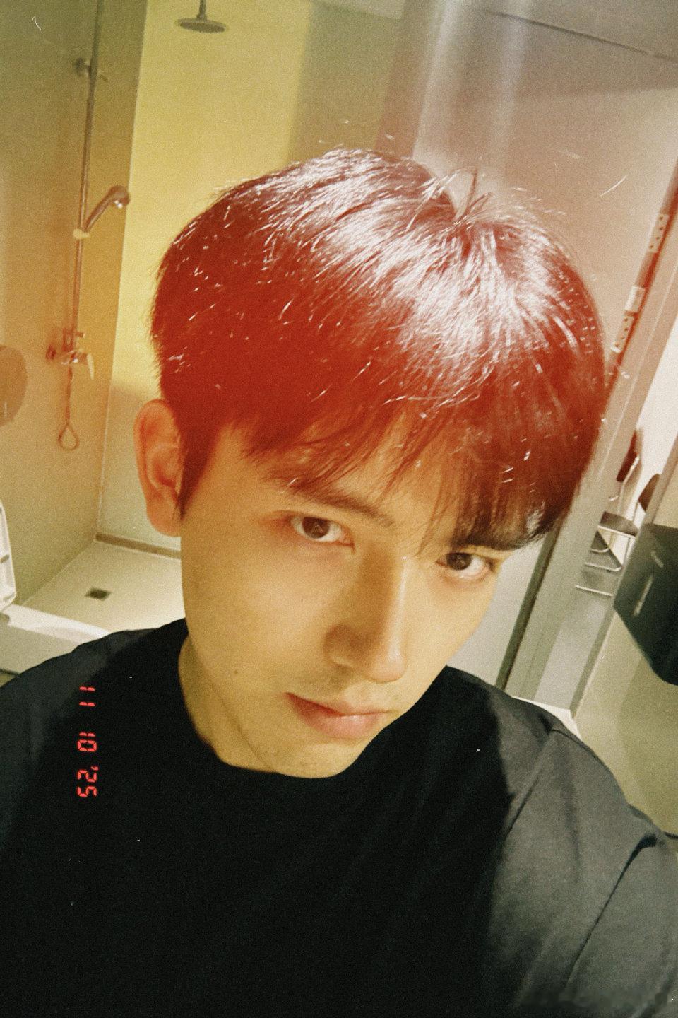 感觉陈飞宇还是适合金毛 