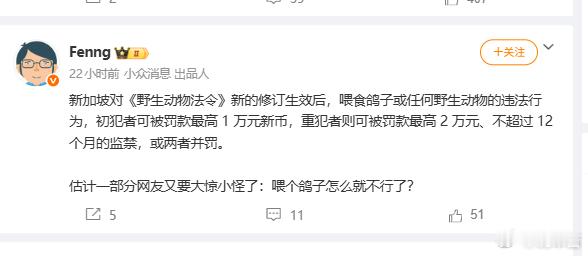 鸽子都不让喂，我比较好奇，那新加坡让喂流浪猫、流浪狗吗？ 