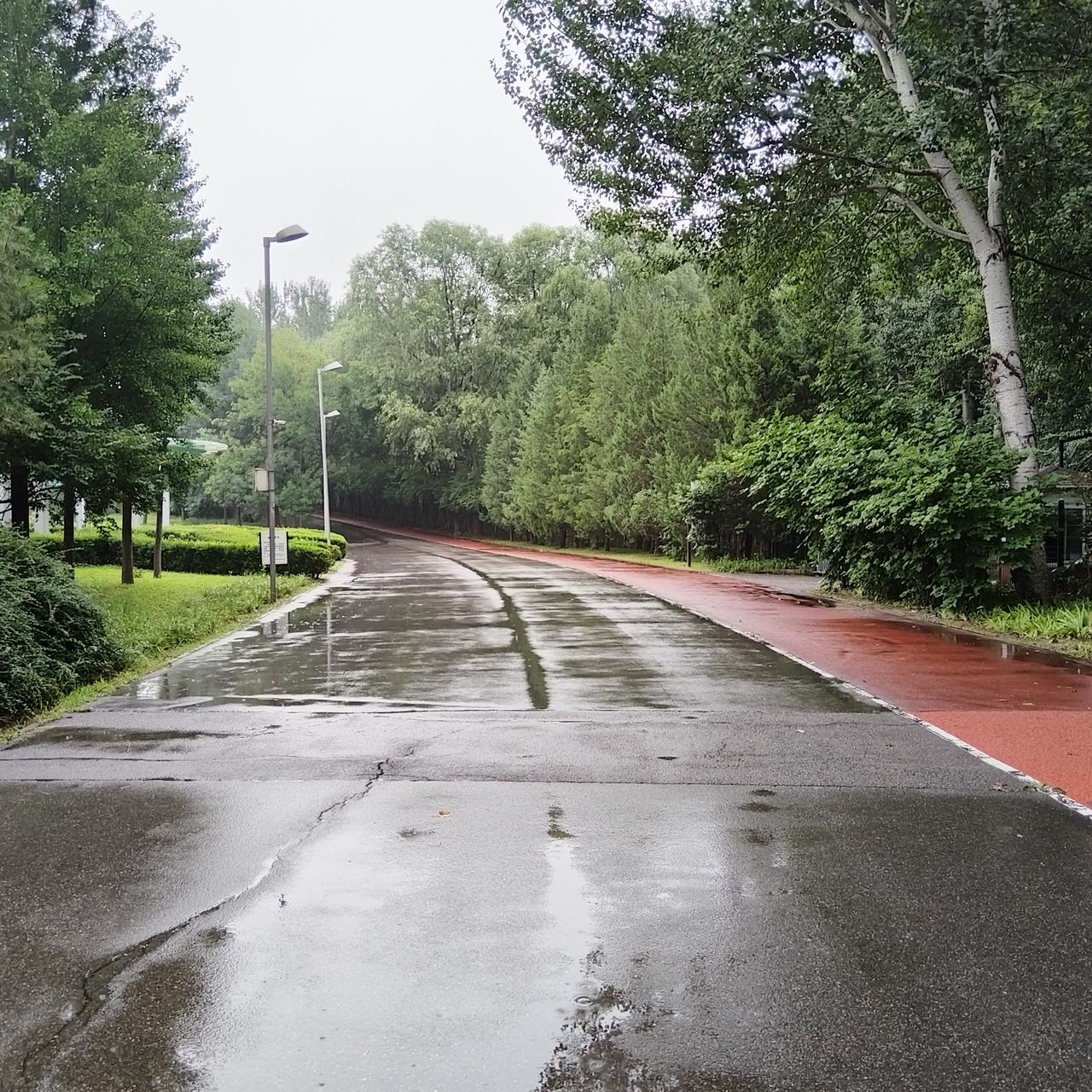 早晨下雨，打着伞在奥森跑了三公里。偌大的奥森空空荡荡，很适合雨中漫步。