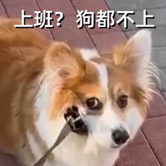 第一批智驾人已经月入10万了还得是科技这碗饭吃着香[666]看得我都心动了！ ​