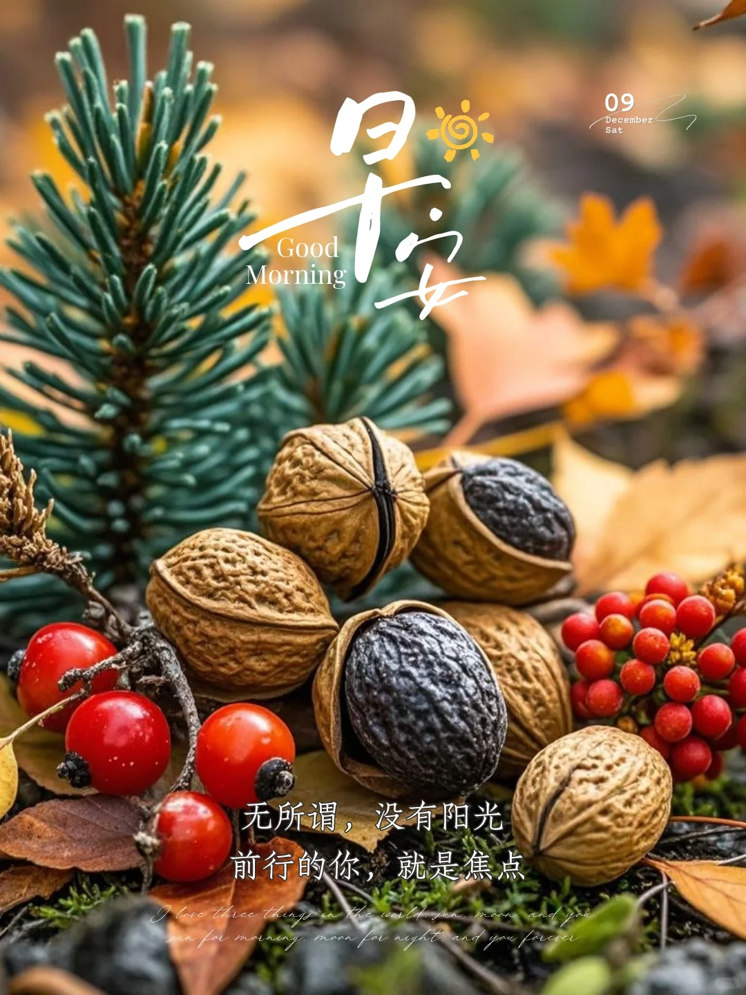 海报设计｜早安语录｜励志早安文案｜早安图