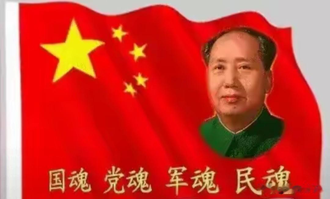 网友倡议重大节日融入毛主席纪念缅怀内容，迅速引发全网情感共鸣。
 
2026年7