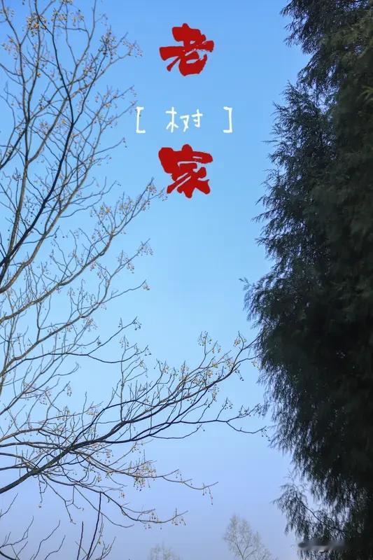 东北话，“老家贼”是什么玩意儿？
东北老话儿 幽默东北方言 东北老式方言 东北小