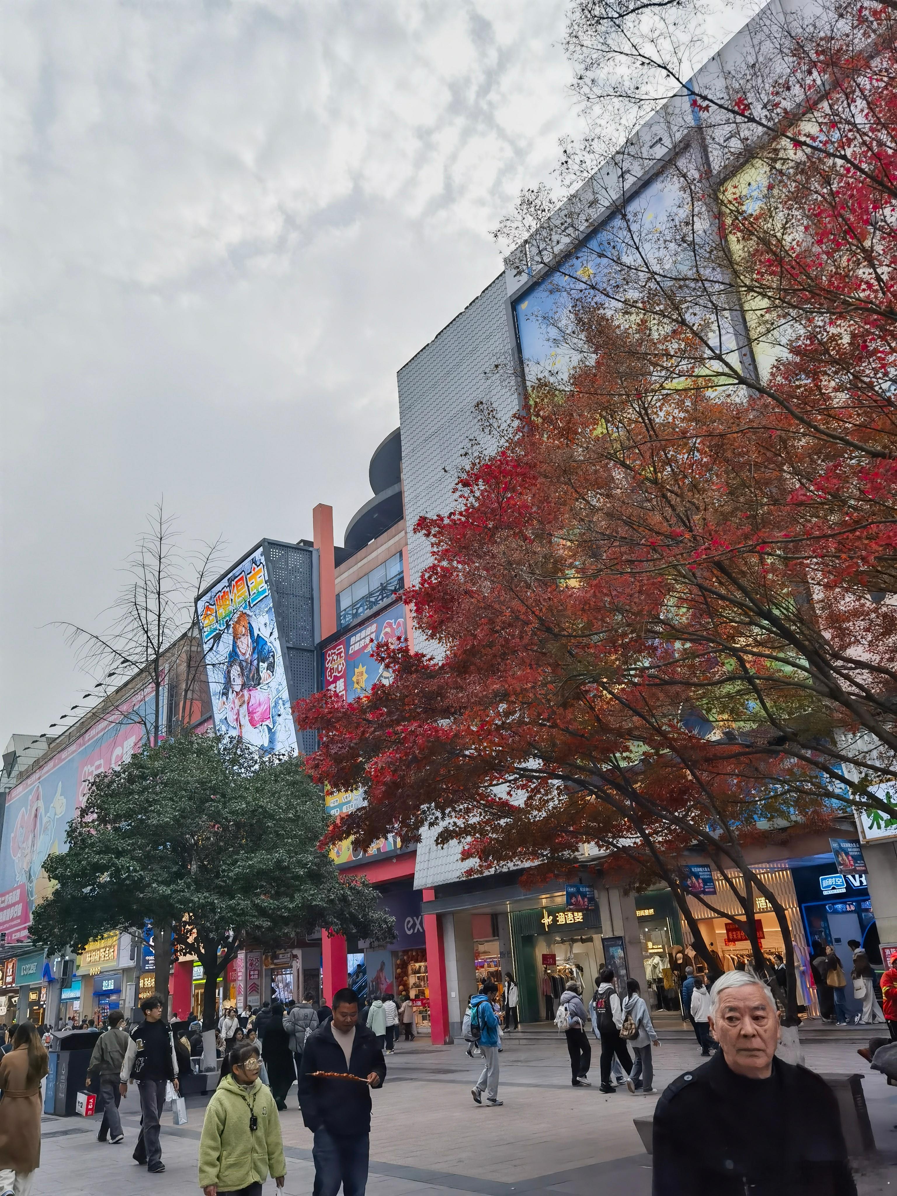 世事苍茫今日进入冬月。天是一下子就灰下来的，仿佛谁用一块巨大的、吸饱了尘灰的绒布