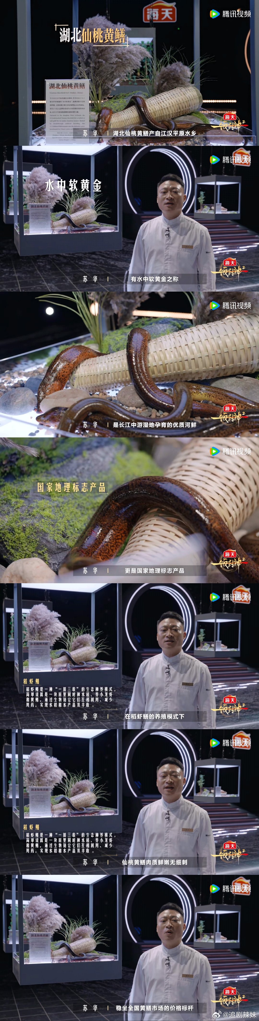 多地文旅送食材上一饭封神一饭封神 安徽媒鸭、江西乌鸡、广西荔枝齐聚赛场！各地文旅