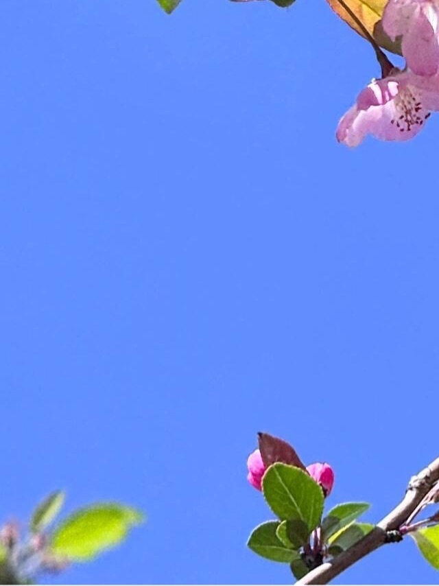 《登幽州台歌》唐·陈子昂前不见古人，后不见来者。念天地之悠悠，独怆然而涕下！ 