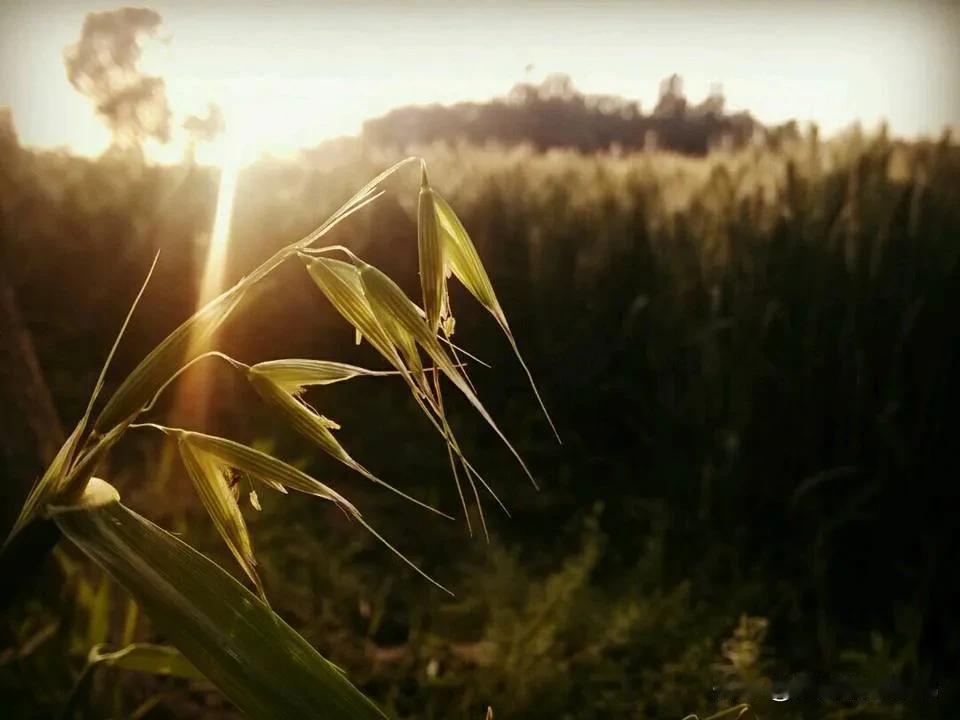 新的故事，会在秋天温柔的晚风中开始🎊。