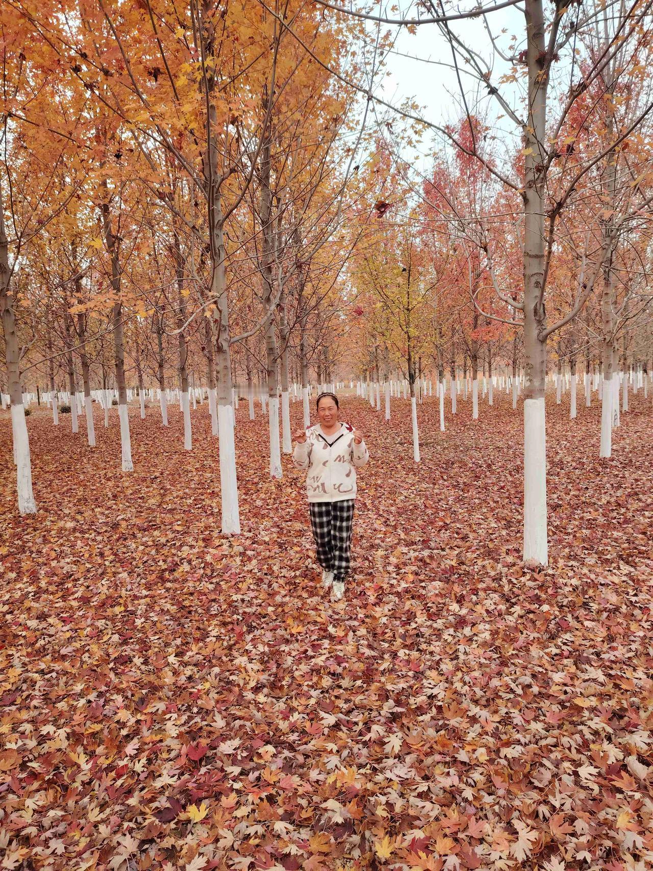 我的今日状态：🏝️旅行度假
我这里的天气：🌤️多云
