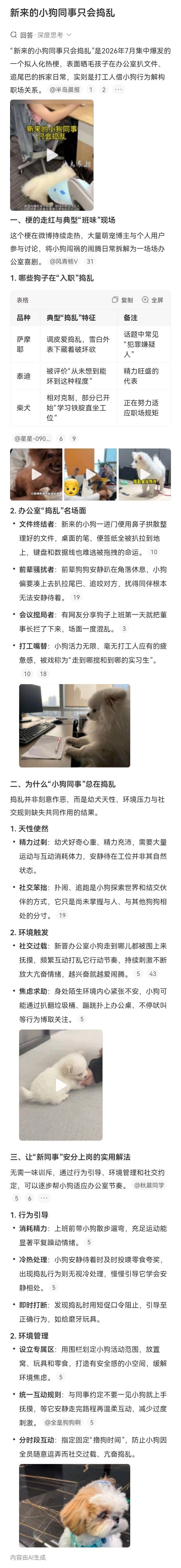 新来的小狗同事只会捣乱什么神仙（神经病）单位，允许携带宠物狗上班？还尼玛阻拦董事