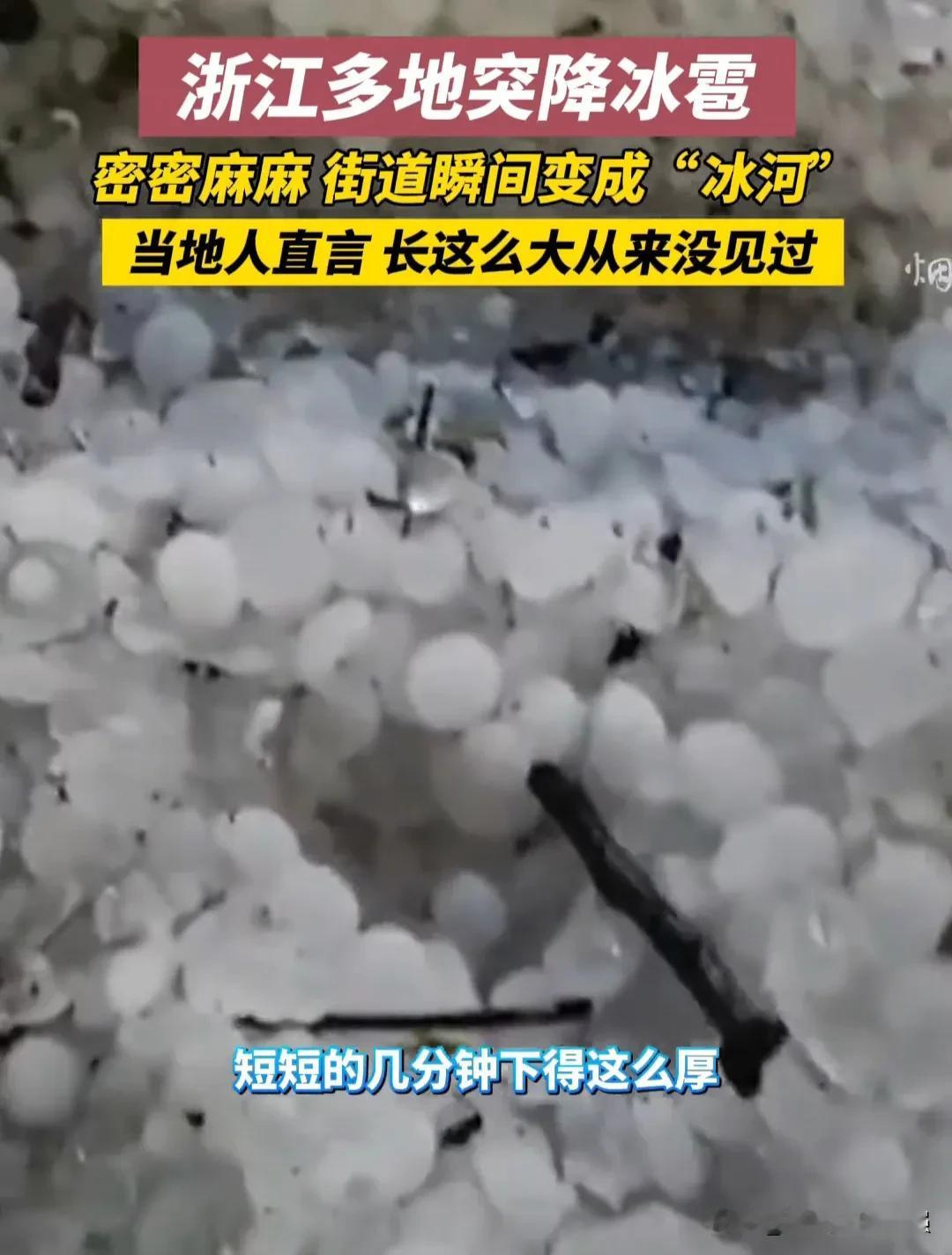 这是冰雹吗？这明明是晶莹剔透的果子！
2月21日，浙江多地突降冰雹，密密麻麻的冰