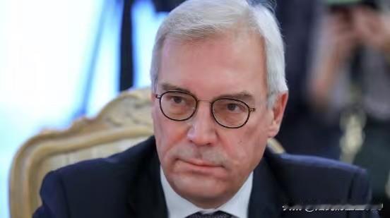 乌克兰最好的安全保证，是切实保证俄罗斯的安全——俄罗斯外交部副部长格鲁什科表示，