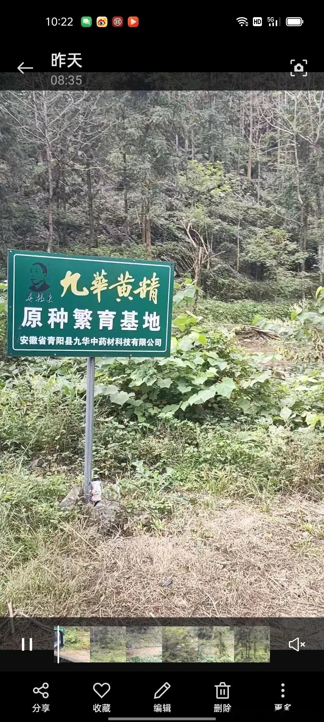 #肥猫走南闯北##肥猫说食疗养生# 要黄精的别忙下单，这两天老肥猫把所看到的所拍