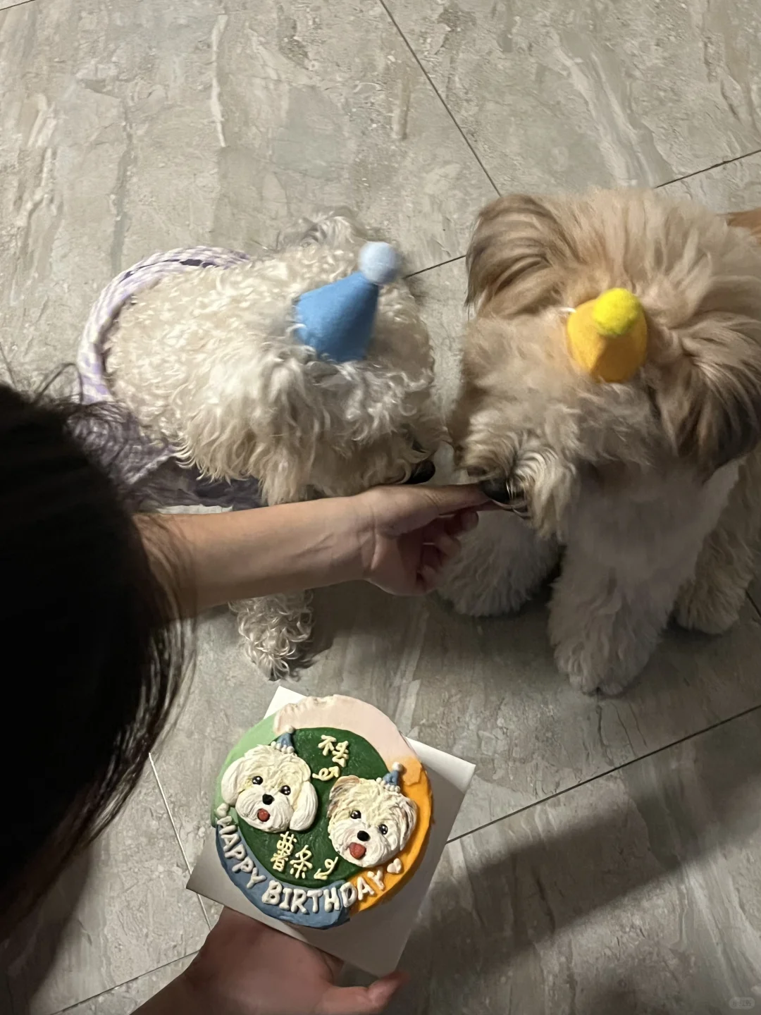 妈妈 我真的2️⃣岁了吗