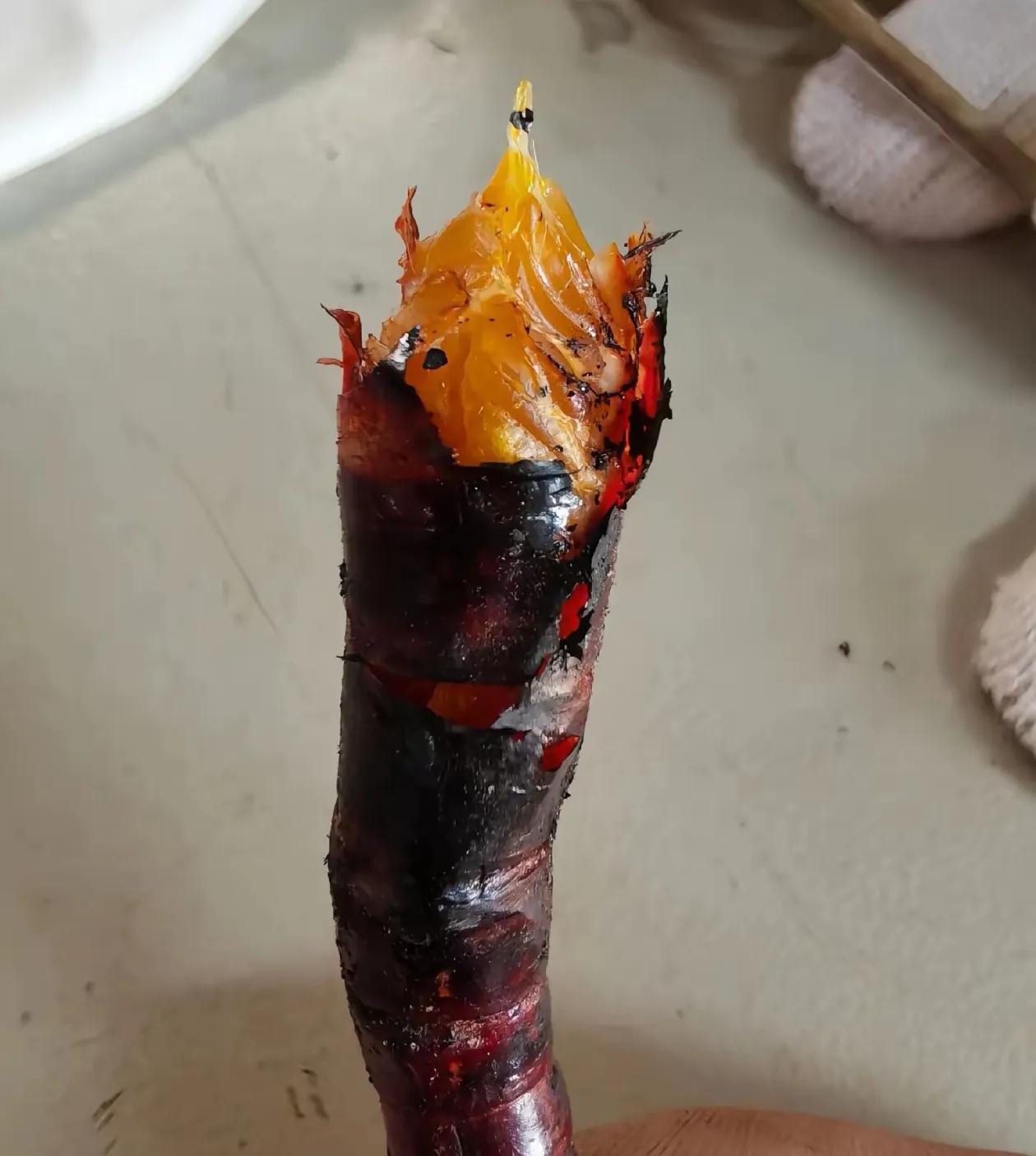 朋友们，认识这是什么吗？我们叫噔噔山，农村的孩子大都认识，小时候上山捉过，这个季