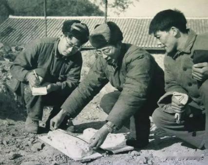 1973年，一头神秘野兽进入部队捕食，被哨兵当场射杀，然而，当看清野兽的模样后，
