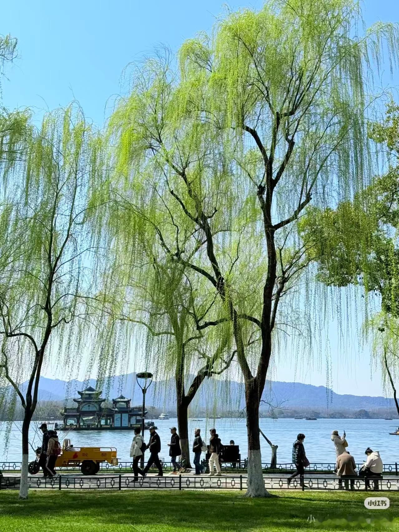 没想到春天的出片率这么高春风、繁花与温柔光影凑在一起，随手一拍都是治愈大片，不用