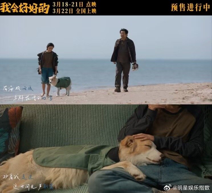 王嘉尔说有时要做王八蛋 王嘉尔对待音乐特别认真，《GBAD》从创作到呈现都饱含诚