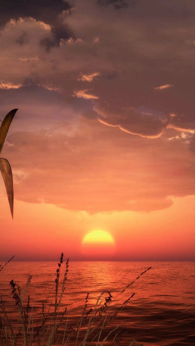 一切经历，皆是修为觉得值得，便是荣耀 ​​​