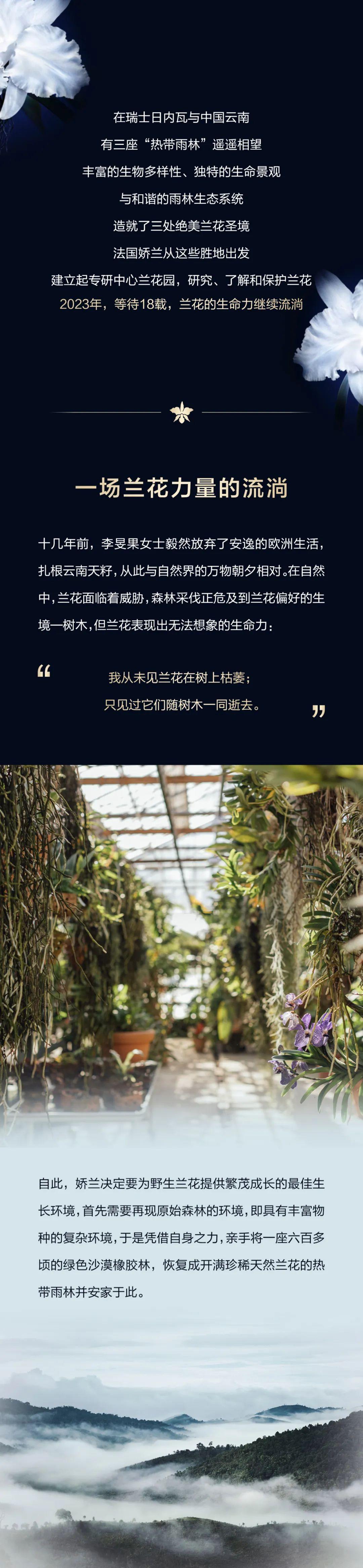 以兰花之姿，共探向上生命力