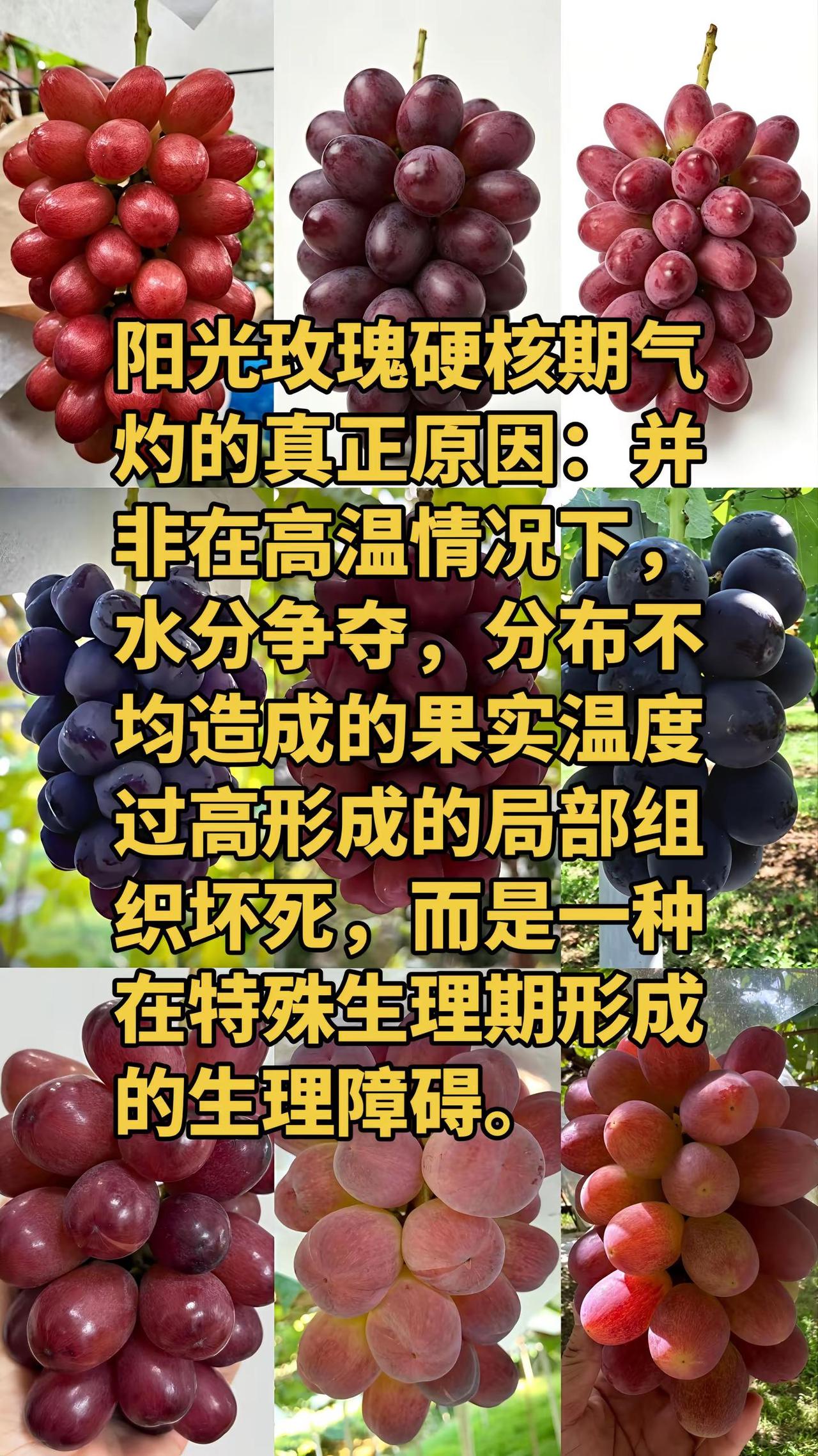 有机会下个视频：生理机制讲清楚。水分争夺理论，现实中根本说不通，也毫无理论根据，