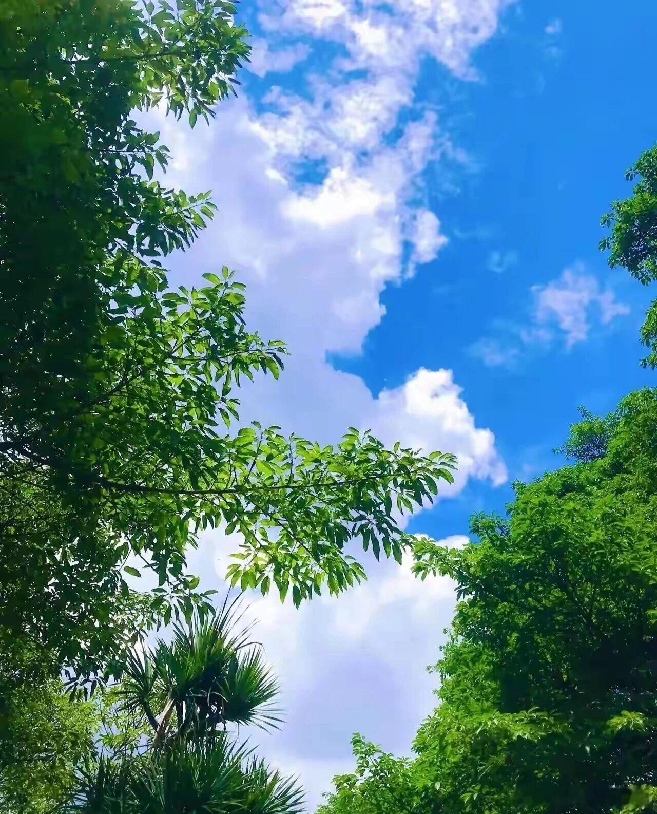早安  当第一缕阳光穿透云层，就意味着全新的篇章开启。生活从不会辜负努力的人，别