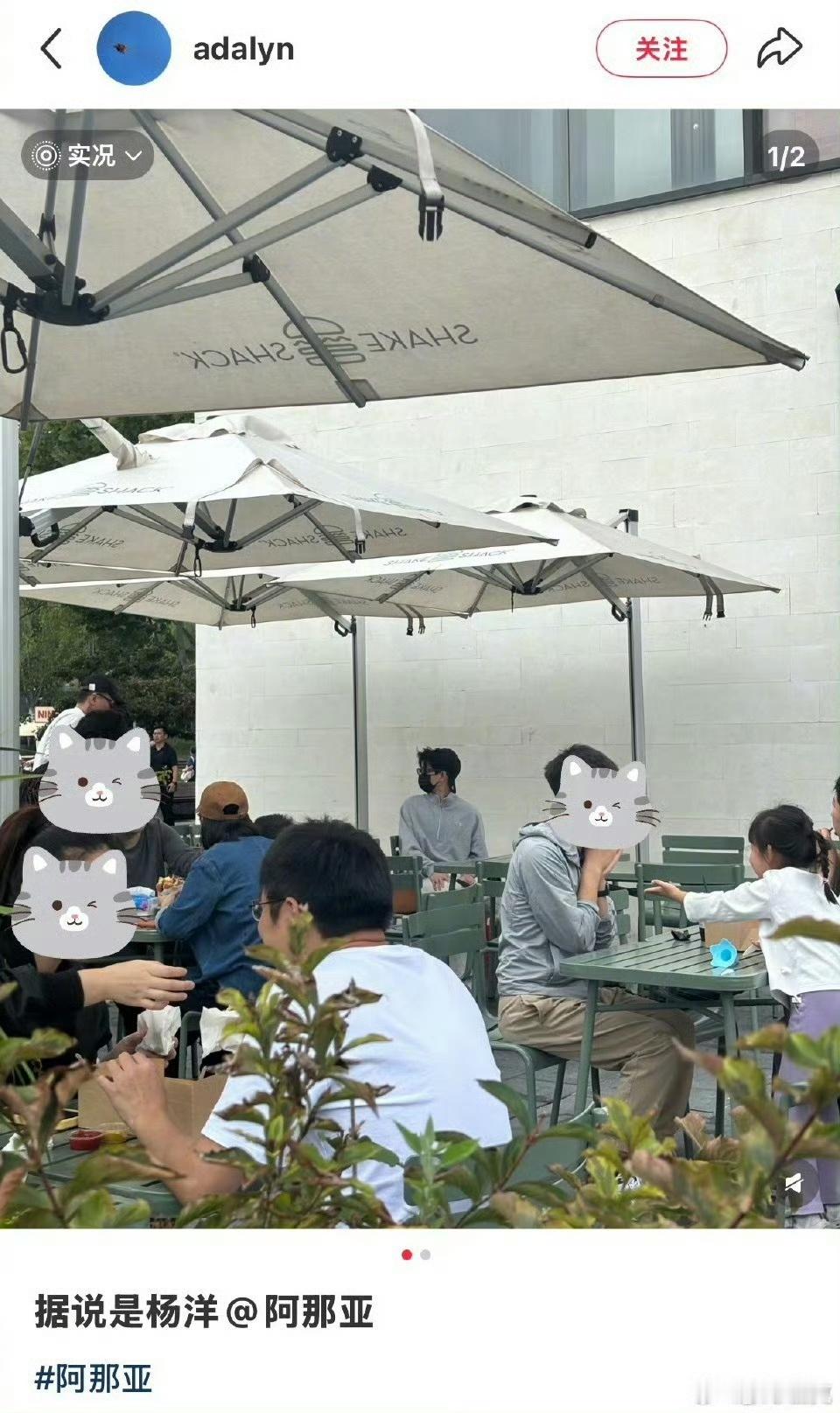 偶遇杨洋阿那亚用餐网友在阿那亚偶遇杨洋偶遇杨洋阿那亚用餐，玩的开心，[期待][期