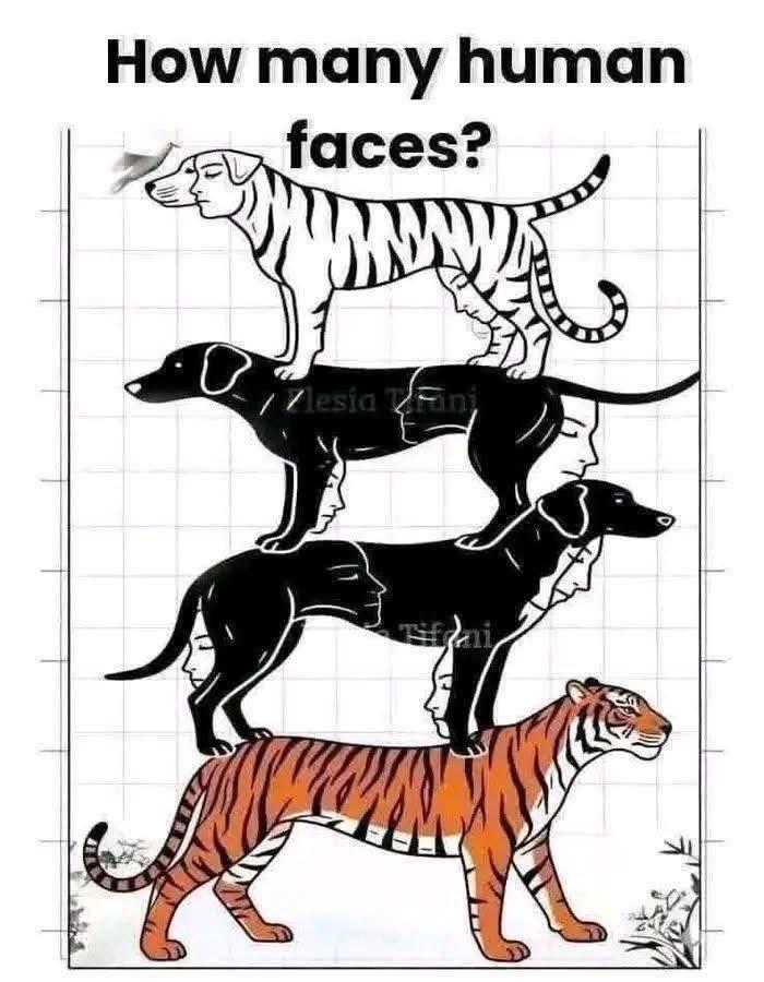 有多少张人脸？🤨😄