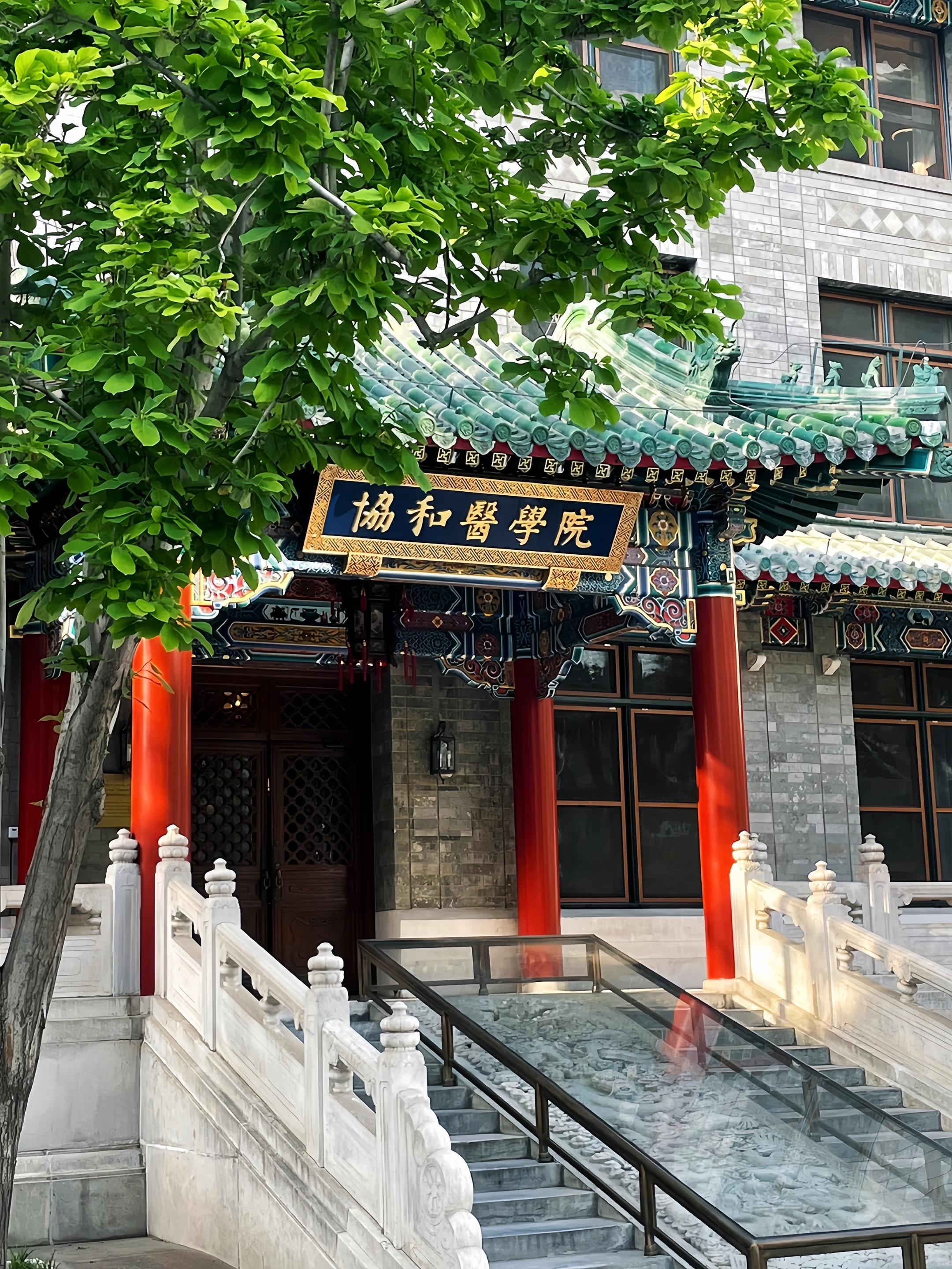 医学生的理想圣殿