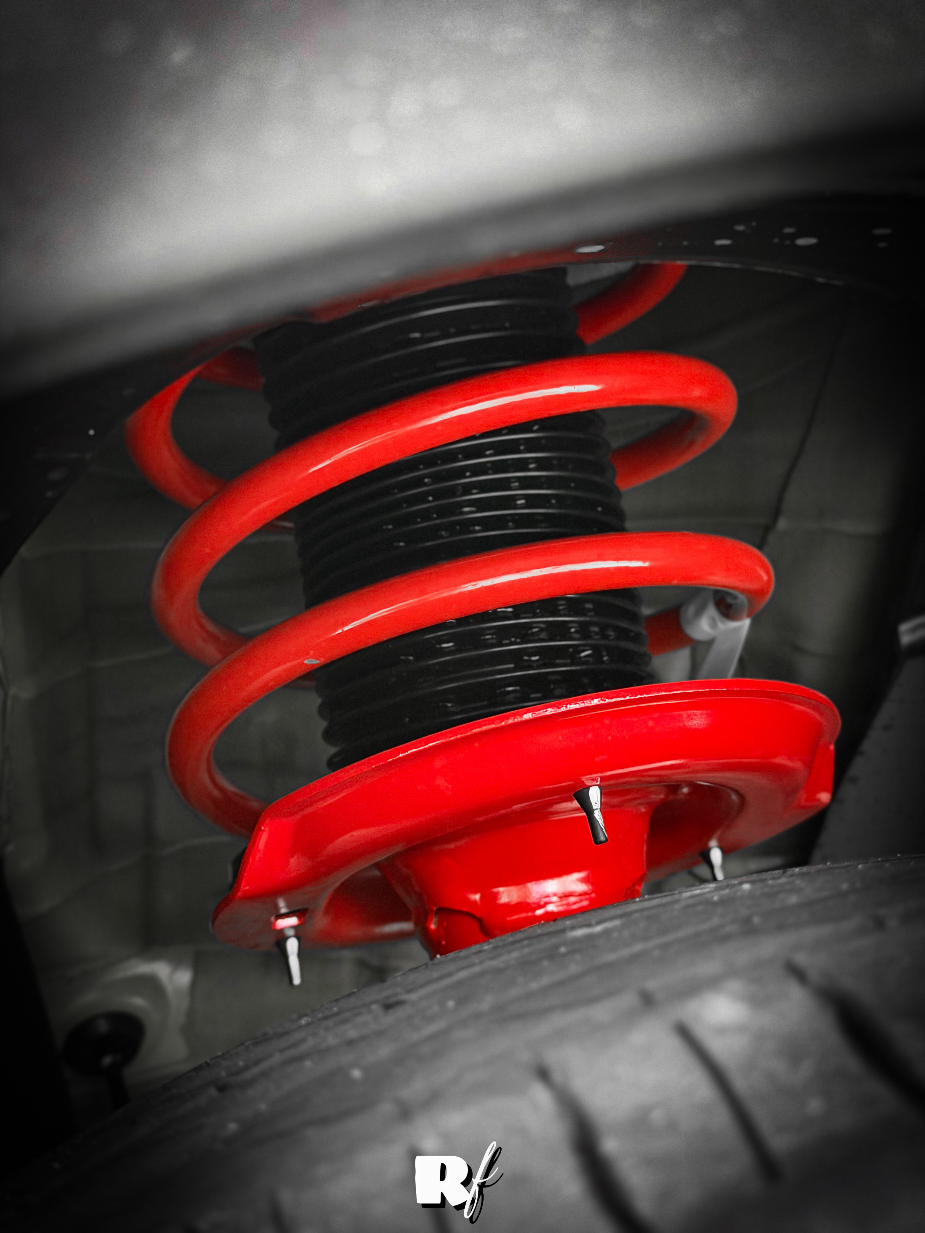 昨天拍的｜Firefly 萤火虫 Ta的个性 来源于Ta的出生背景而这种明显区别