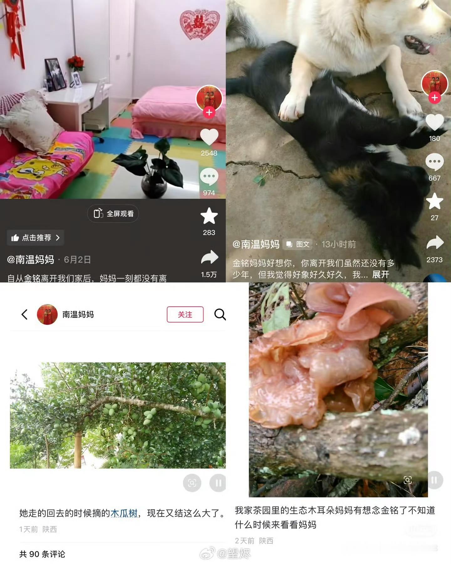 寻衅滋事，治安处罚。平台管理，消灭账号。平台通报李金铭假婆婆事件