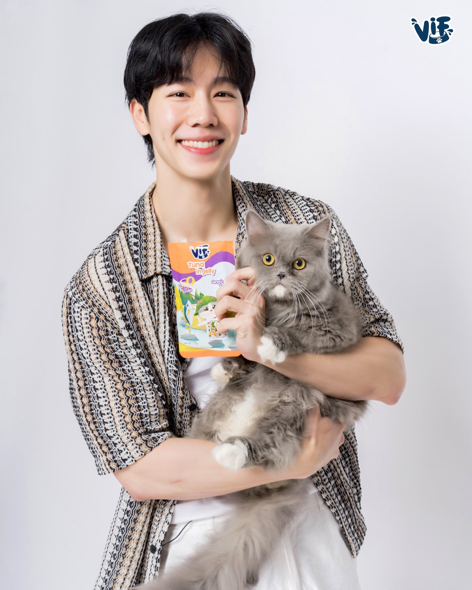 猫党和狗党 