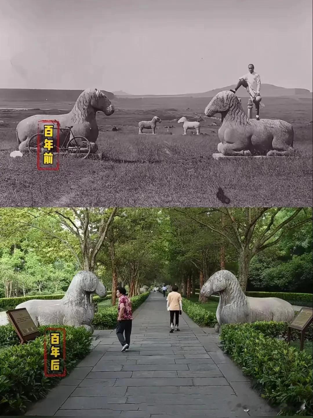 如果没有前赴后继的革命先辈流血牺牲，几百年后在这片土地上生活的人们如果想追溯一下
