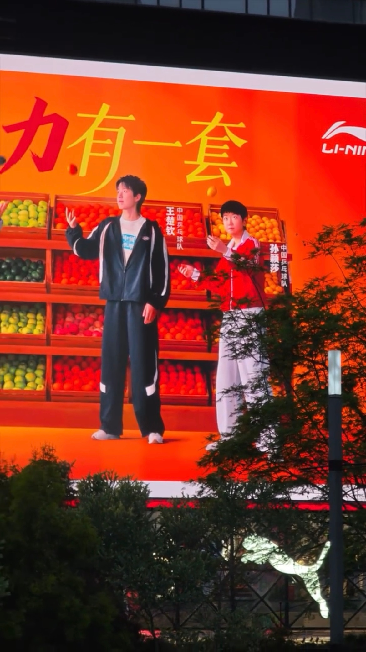 二位很萌呢很萌 