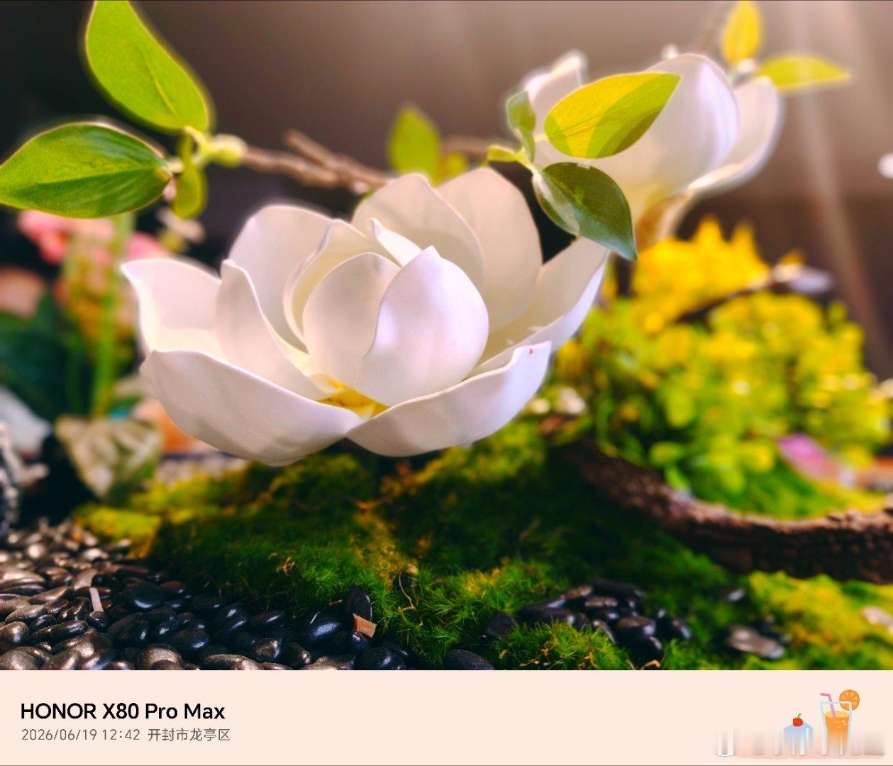 提前上手试了下荣耀X80 Pro Max的实拍表现📸 这颗带OIS光学防抖的5