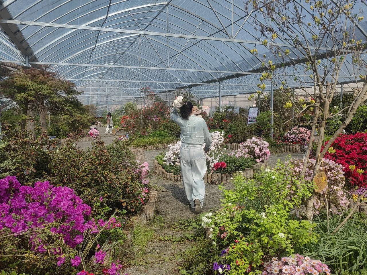 短诗/夏韵
方方


五月锁住春光
喜燕绕着房梁
绿肥红瘦的山脊
依旧托着​槐花