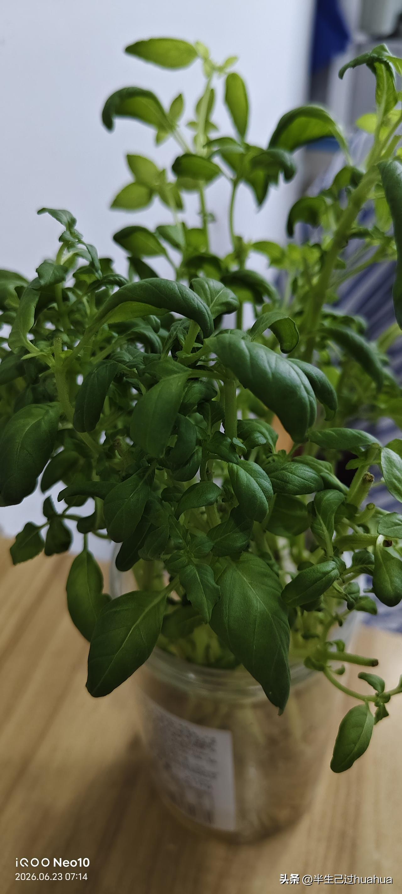 去房间里给老太太打饭她问我有手机没有要打电话，我问他给谁打电话，说给她老公打电话