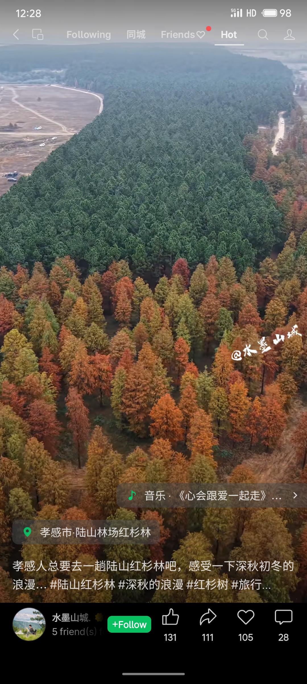 冬季的孝昌陆山林场，红杉林已披上浓郁金装，在航拍镜头下尤为壮观。深秋初冬时节，此