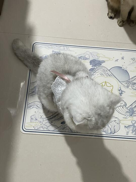 一只～