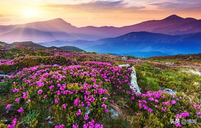 人这一辈子，什么最值钱？这个问题，在匆忙的站台、静谧的病床前、午夜的独坐中，总会